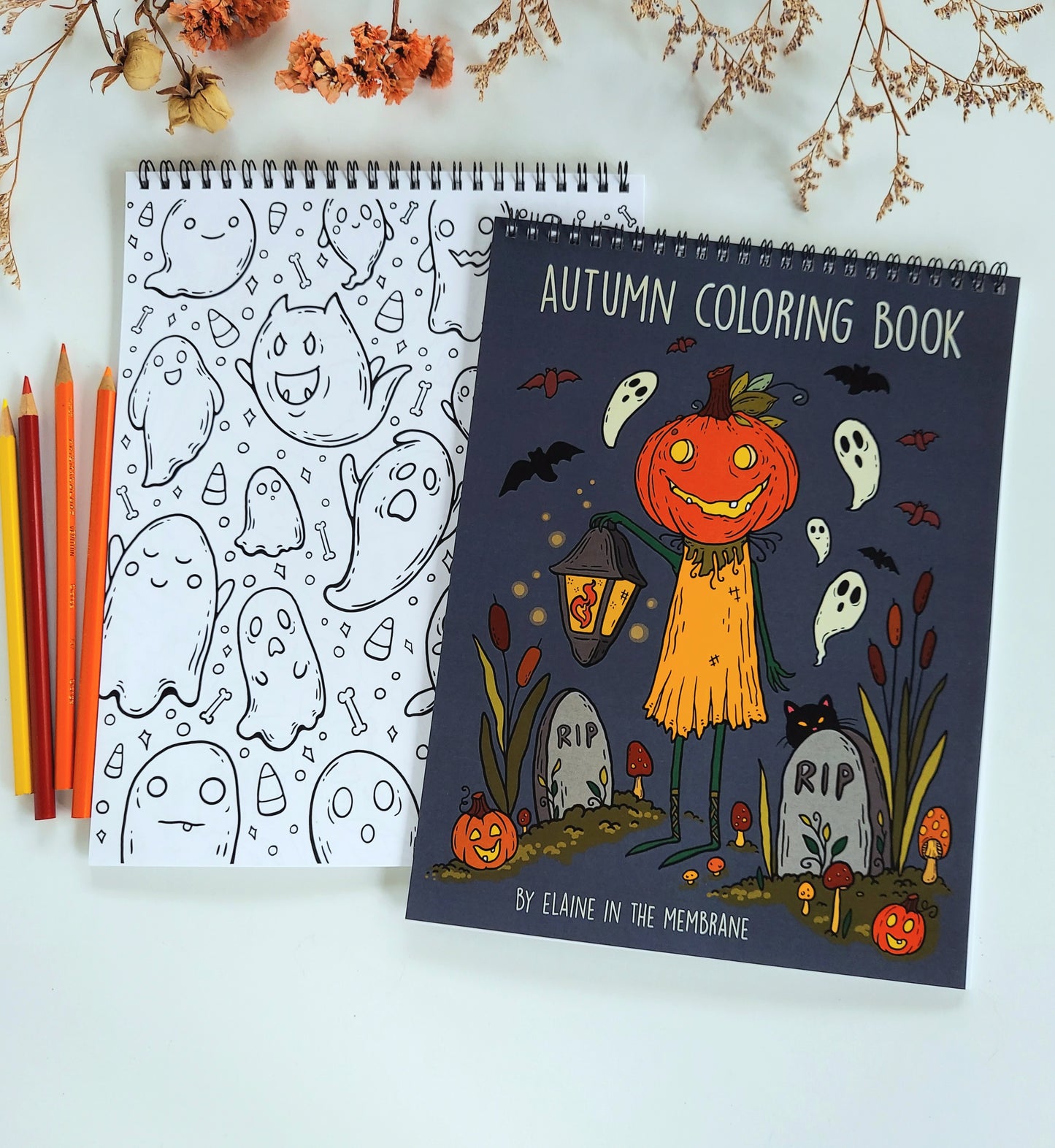 Autumn Coloring Book