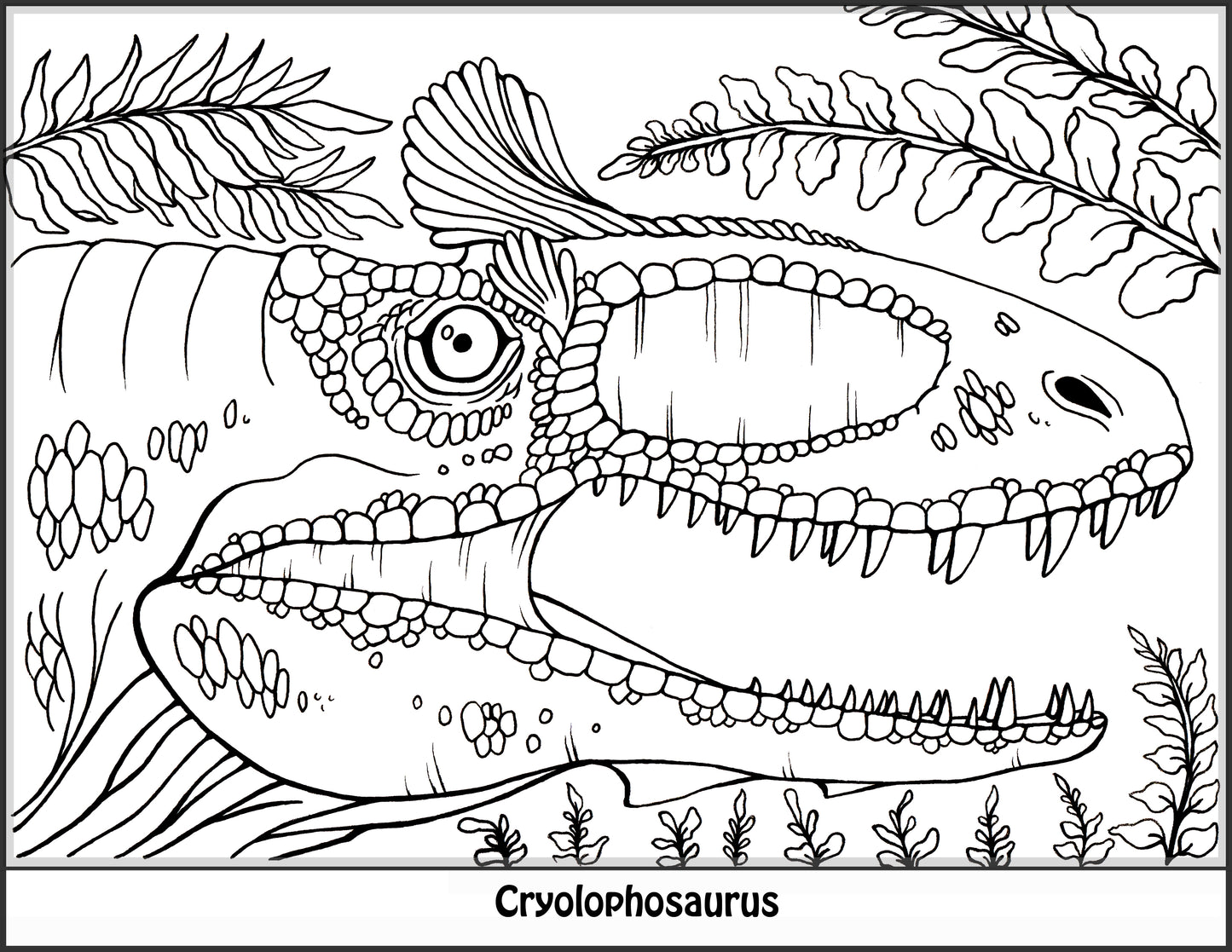 Dinosaur Coloring Book