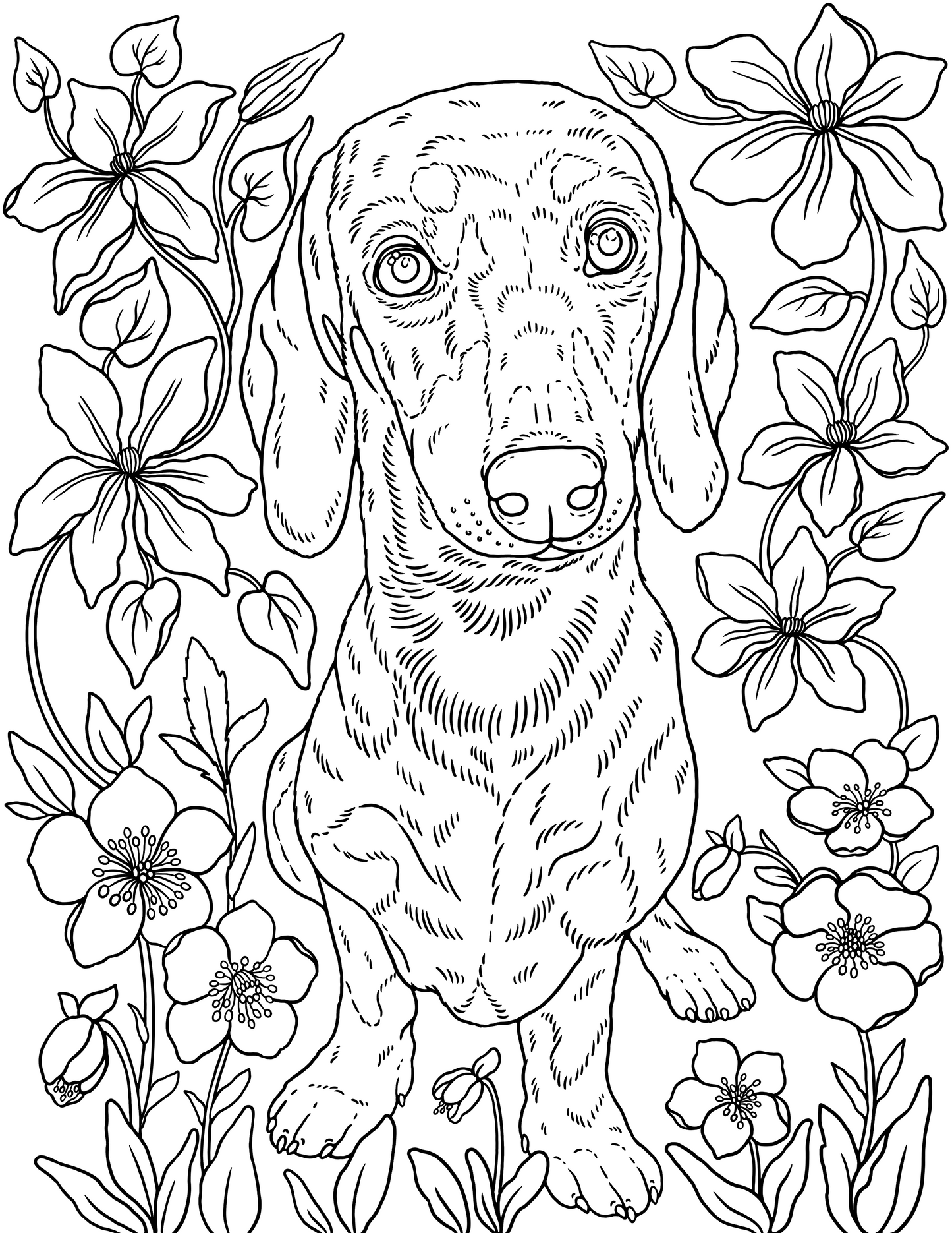 Dog & Cat Coloring Book