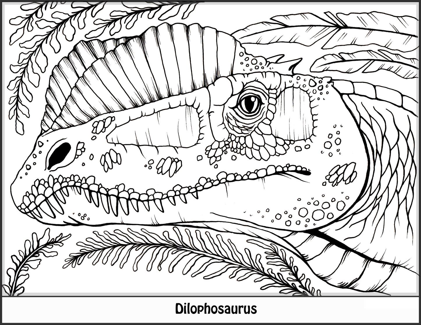 Dinosaur Coloring Book