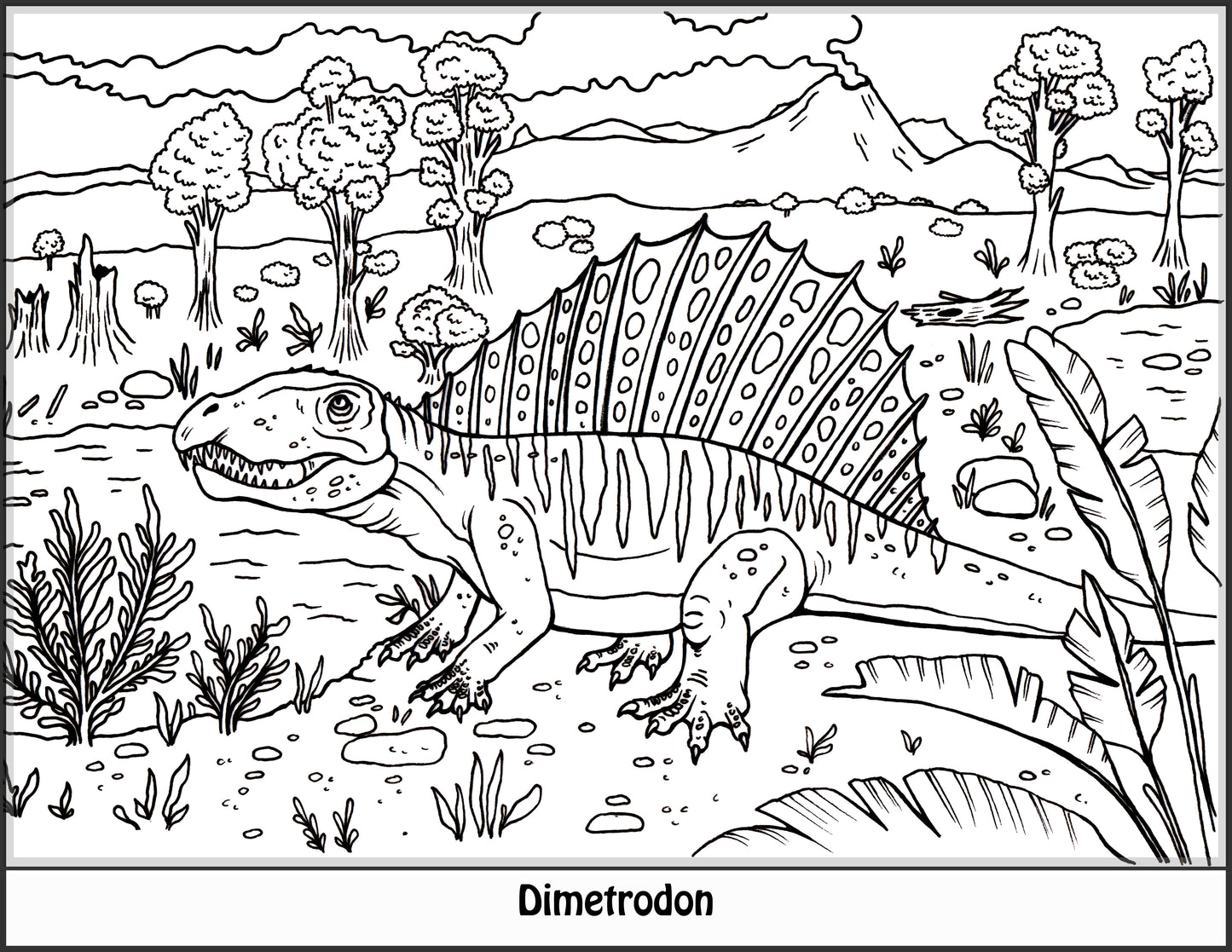 Dinosaur Coloring Book