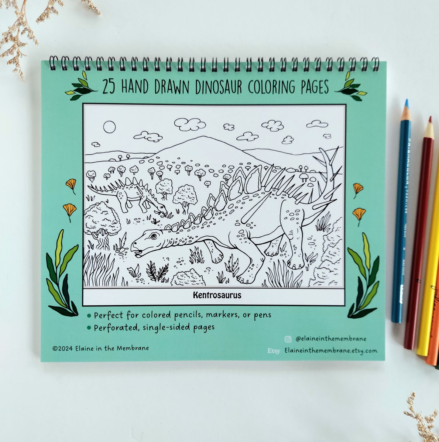 Dinosaur Coloring Book