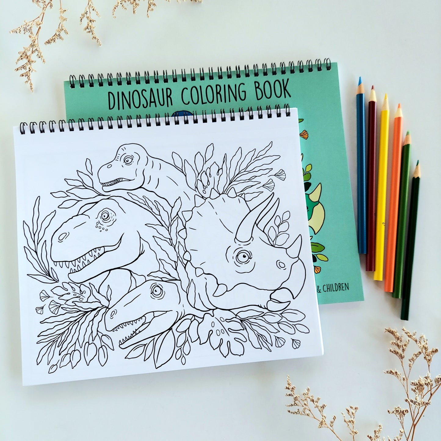 Dinosaur Coloring Book