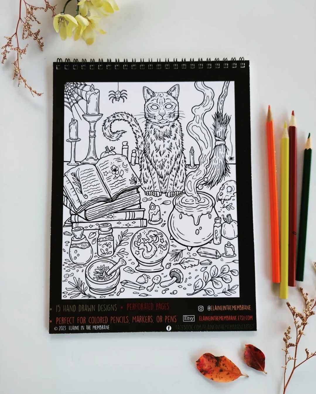 Halloween Coloring Book