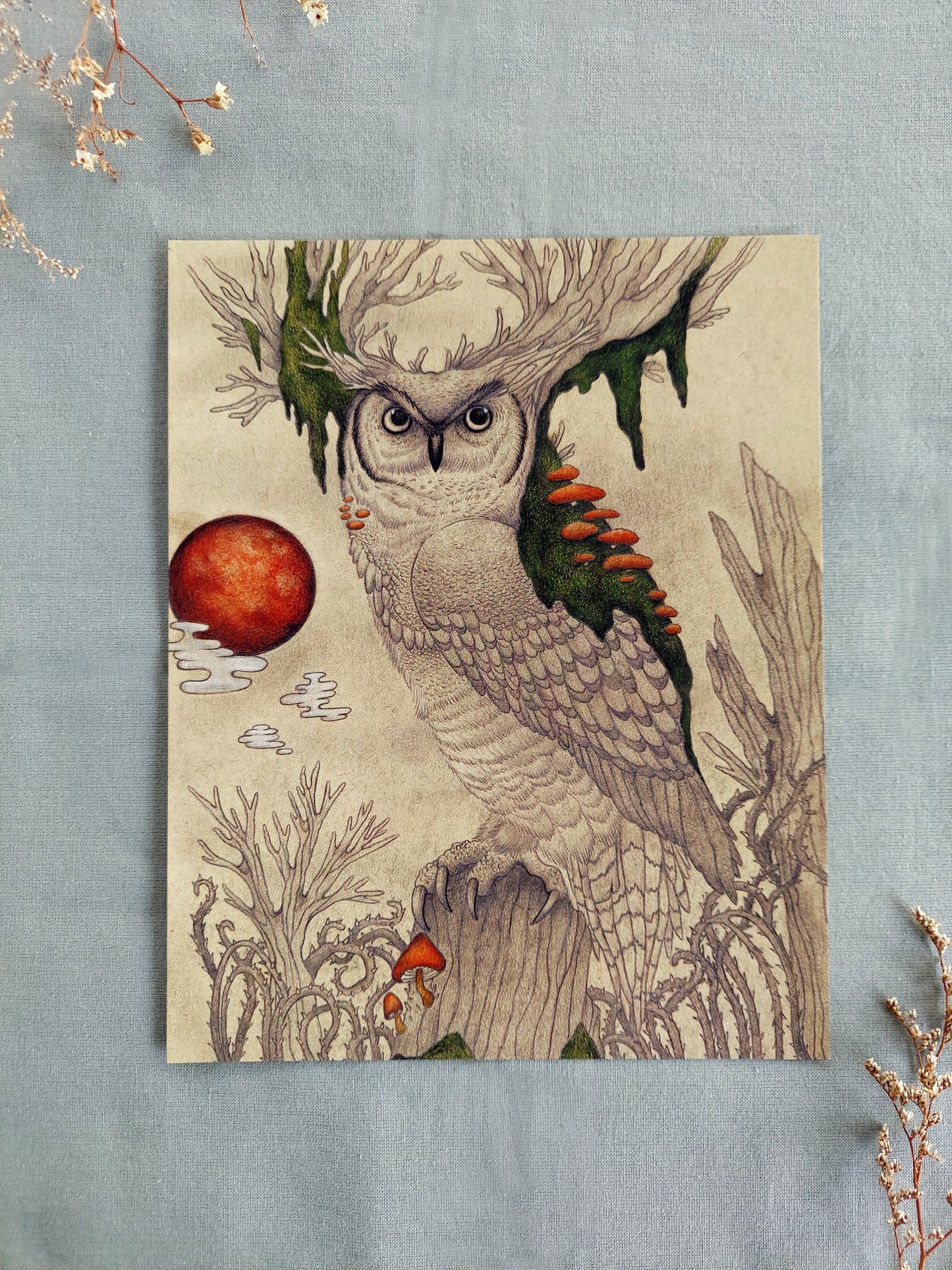 Art print - "The Keeper" Owl drawing