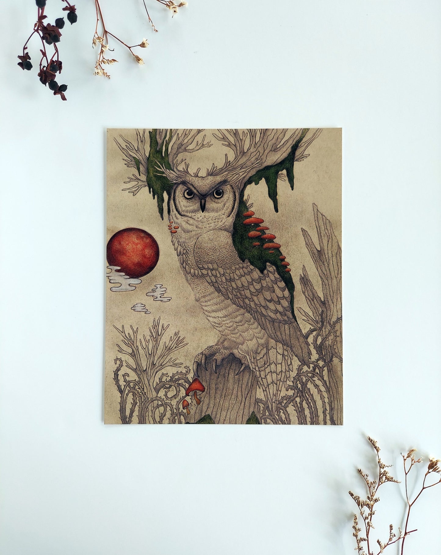 Art print - "The Keeper" Owl drawing