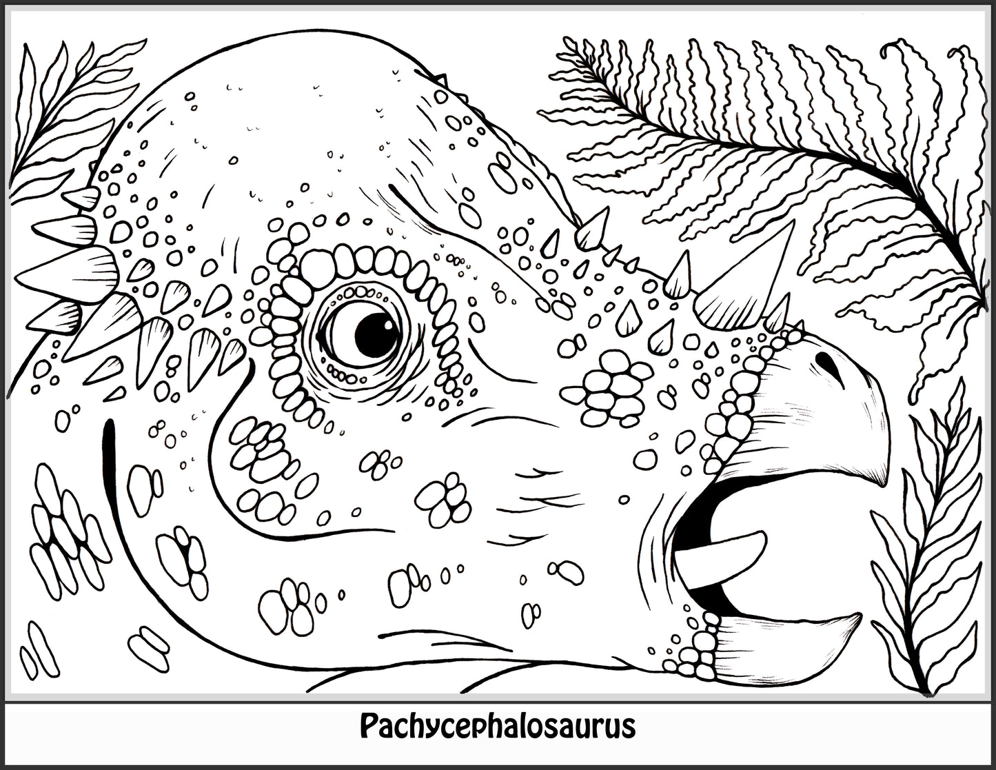 Dinosaur Coloring Book