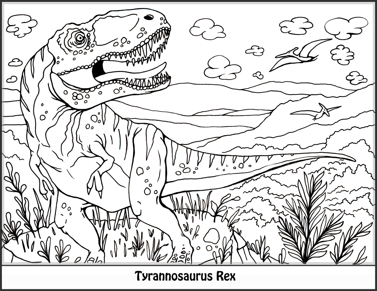 Dinosaur Coloring Book