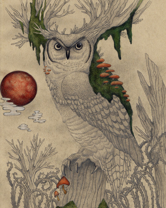 Art print - "The Keeper" Owl drawing