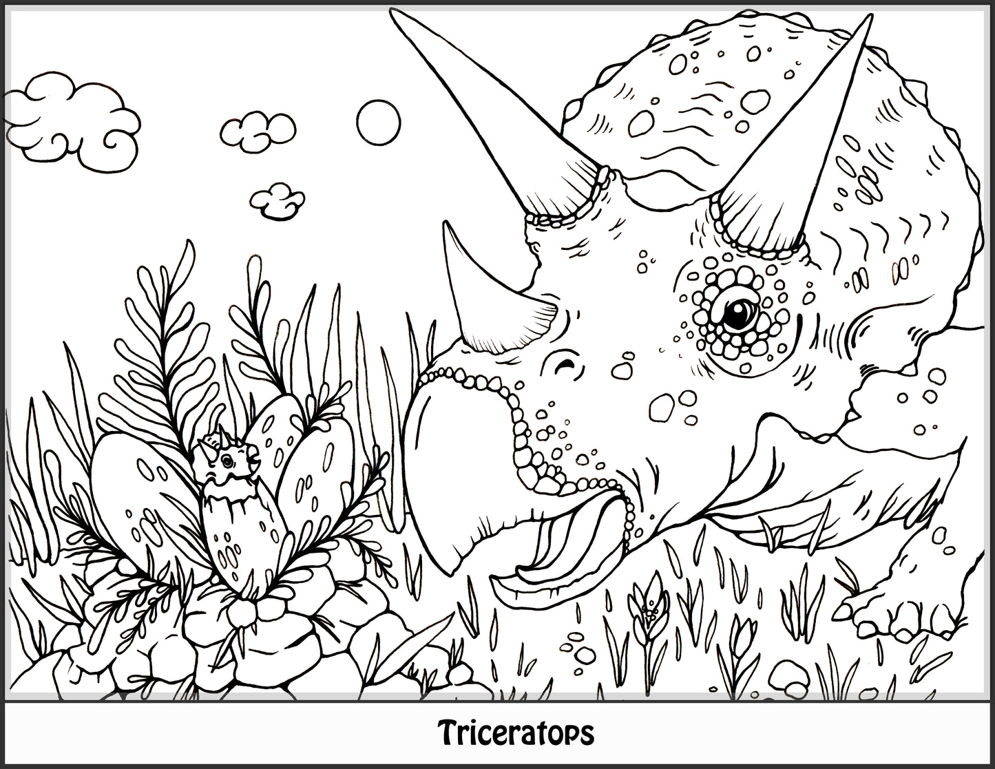 Dinosaur Coloring Book